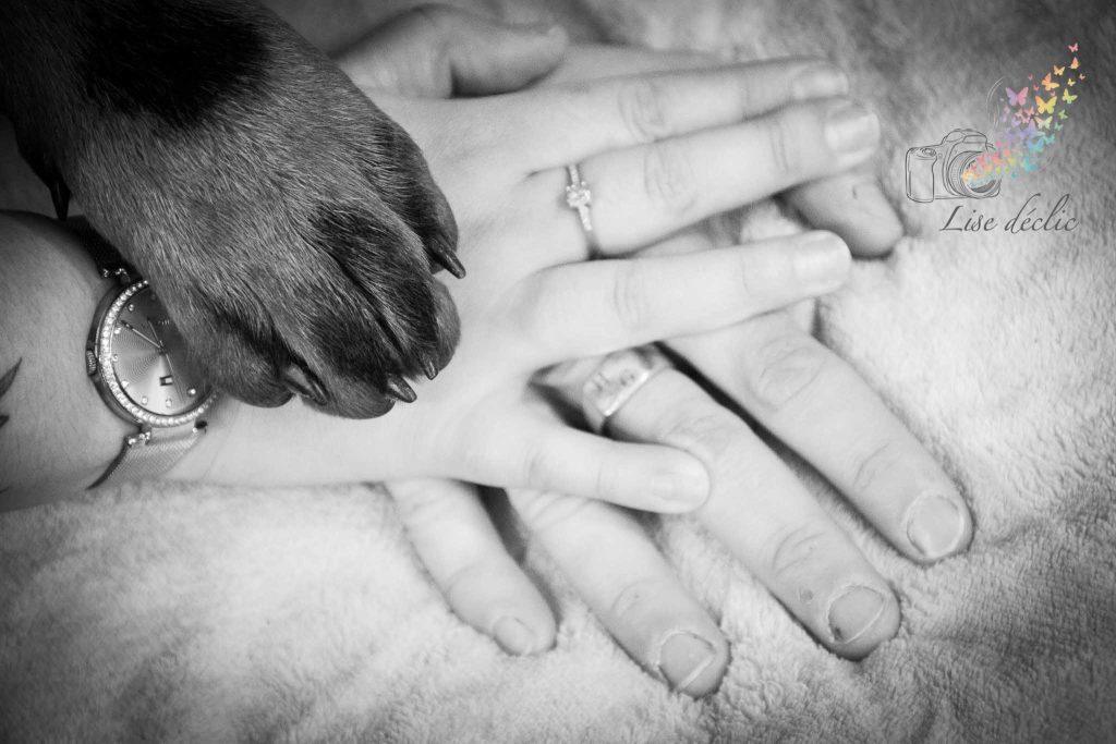 Gros plan sur des mains enlacées avec la patte d’un chien lors d’une séance photo authentique